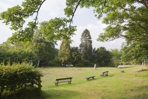 west view park 2012 1 darwin gardens sm.jpg